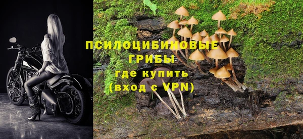дурь Алексеевка